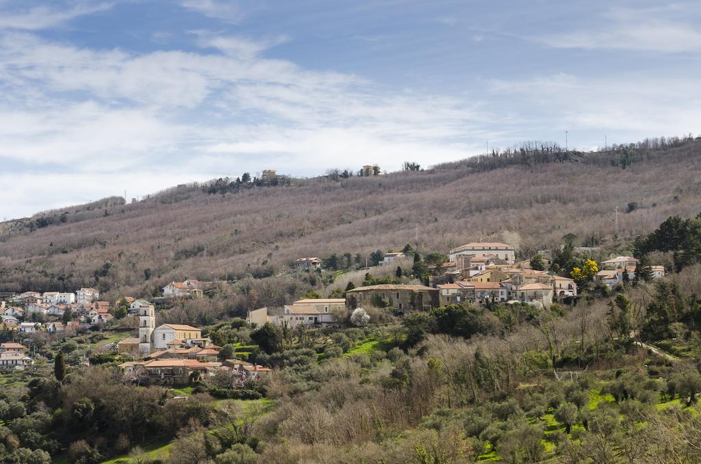 Al Casale Dei Nonni Acomodação com café da manhã Laureana Cilento Exterior foto